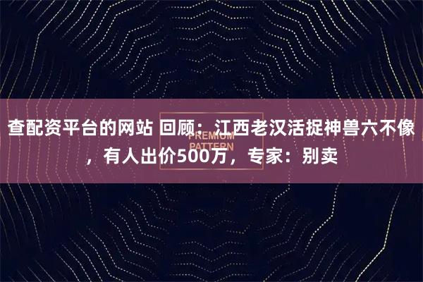 查配资平台的网站 回顾：江西老汉活捉神兽六不像，有人出价500万，专家：别卖